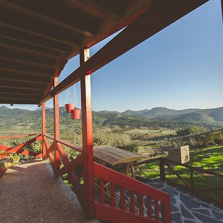 La Brizna Vendégház Cañamero Szoba fotó