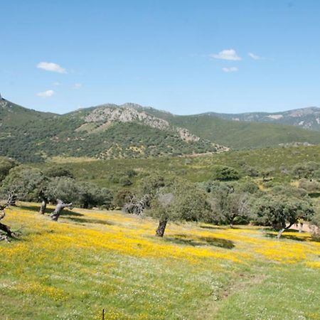 La Brizna Vendégház Cañamero Kültér fotó