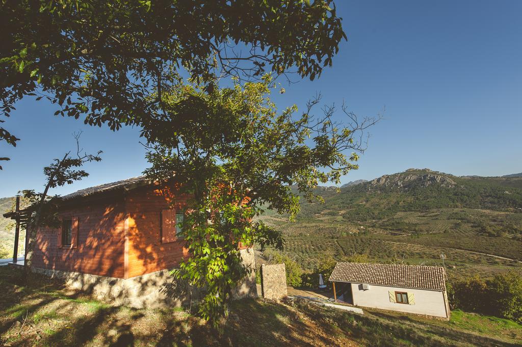 La Brizna Vendégház Cañamero Szoba fotó