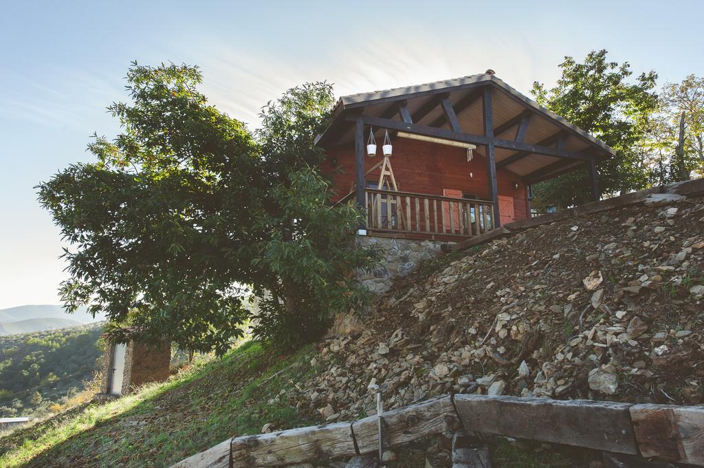La Brizna Vendégház Cañamero Szoba fotó