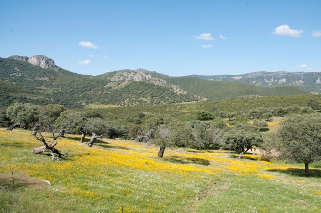 La Brizna Vendégház Cañamero Kültér fotó